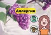 Аллергия на сирень: симптомы, лечение, профилактика Аллергия