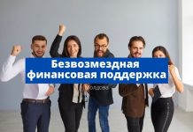 В Молдове компании могут воспользоваться безвозмездной финансовой поддержкой в размере до 2 млн леев безвозмездная финансовая поддержка