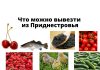 Какие продукты разрешены на экспорт из Приднестровья Что можно вывезти из Приднестровья