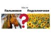 Из-за дефицита подсолнечного масла Европа решила перейти на пальмовое Пальмовое масло