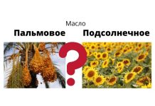 Из-за дефицита подсолнечного масла Европа решила перейти на пальмовое Пальмовое масло