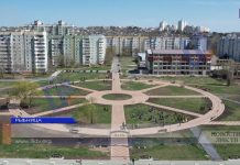 В парке «Набережный» в Рыбнице посадили березки Парк Набережный