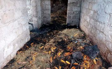 В селе Ульма Рыбницкого района двое школьников устроили пожар в селе Ульма Пожар в Ульме