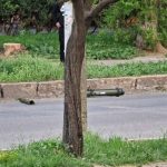 photo_обстрел МГБ ПМР