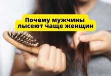 Почему мужчины лысеют чаще чем женщины? Почему мужчины лысеют чаще женщин