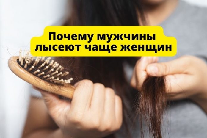 Почему мужчины лысеют чаще женщин