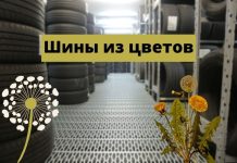 Goodyear объявила, что разрабатывает шины из одуванчиков Шины из цветов
