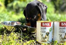 Бендерский мясокомбинат запустил производство консервированных кормов для животных Производство кормов для животных