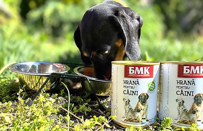 Производство кормов для животных