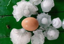 В Болгарии выпал град величиной с куриное яйцо град, стихия, Румыния, Болгария