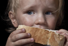 Прогноз ООН: голодающих в мире станет больше дефицит продовольствия ООН голодающих миллионов прогнозам