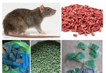 Женщина потрогала крысиный яд и попала в реанимацию женщина, села, крысиный, жительница, Воронково