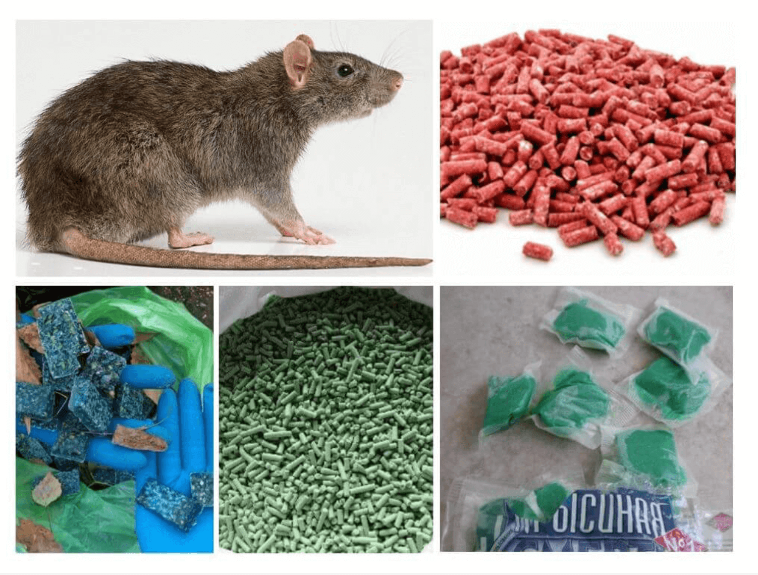 Избавиться от домашних мышей. Крысид крысиный яд. Мышиный яд для мышей и крыс. Отрава для крыс.