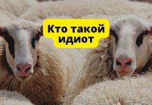 Кто такой «идиот»? Кто такой идиот