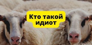 Кто такой «идиот»? Кто такой идиот