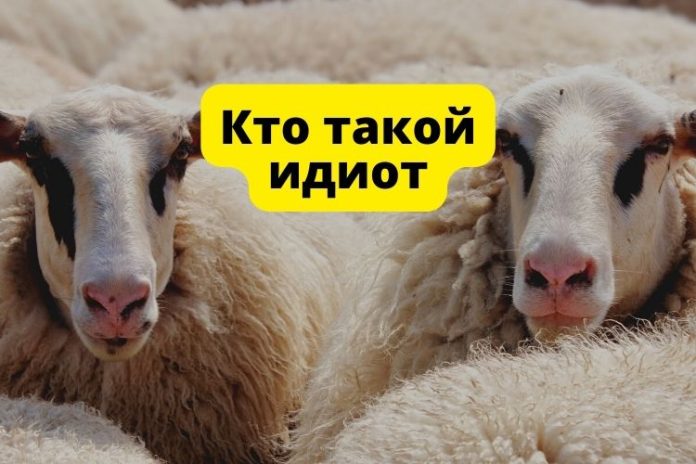 Кто такой идиот