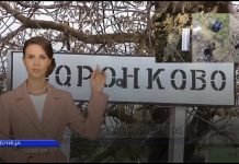 В Приднестровье в селе Воронково прогремели взрывы