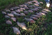 Лодку браконьеров заметили сотрудники госинспекции браконьеры, на лимане порыбачили сотрудники нарушителей лодку