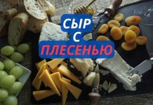 Сыр с плесенью опасен или нет? Сыр с плесенью