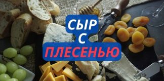Сыр с плесенью опасен или нет? Сыр с плесенью