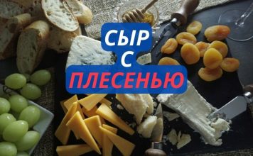 Сыр с плесенью опасен или нет? Сыр с плесенью