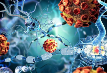 Медики готовятся к пандемии неизвестного вируса вируса пандемия
