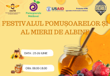 Фестиваль мёда пройдёт в Кишинёве 25-26 июня 2022 года Фестиваль. мёд пчёлы