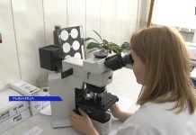 Лаборатория ММЗ обновляется Лаборатория ММЗ обновляется