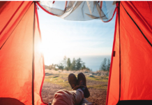 Фестиваль «АРТ-ЭКОФЕСТ» состоится в Рыбницком районе фестиваль, Рыбницком, АРТ-ЭКООФЕСТ