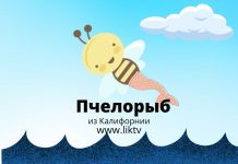 В штате Калифорния пчёлы превратились в рыб Калифорнии закон штате суд пчёл рыбами