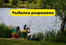 В Приднестровье снят запрет на рыбалку Рыбалка разрешена