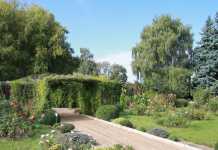 Ботанический сад в Приднестровье преобразится ботанический сад власти