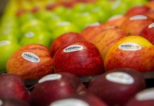 Экспорт семи продуктов из Молдовы могут быть ввезены без таможенных пошлин в ЕС экспорт, семь продуктов