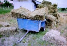 В Парканах украли 75 тюков люцерны Парканах, пропали люцерны, обратился