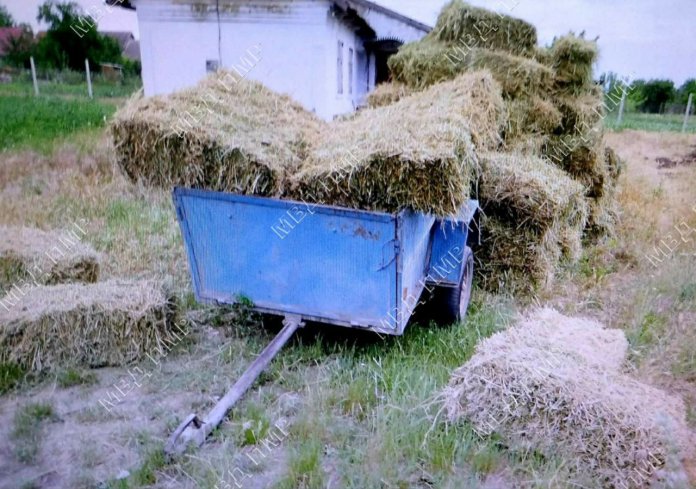сено Парканах, пропали люцерны, обратился