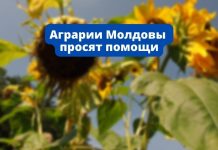 Правительство не осознаёт критичность положения аграриев аграрии, аграрном секторе правительство фермеры