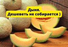 В Молдове дыни местного производства дешеветь не будут Дыня. Дешеветь не собирается )