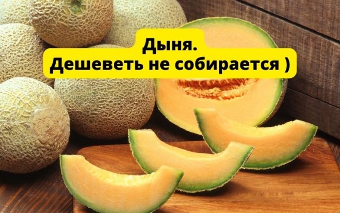 Дыня. Дешеветь не собирается )
