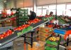 Агрохаб за 660 тыс. евро построят в Каушанах фото с сайта east-fruit.com