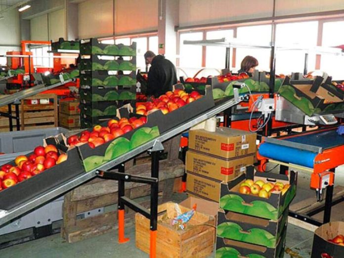 фото с сайта east-fruit.com фото с сайта east-fruit.com