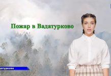 В Вадатурково загорелся лес