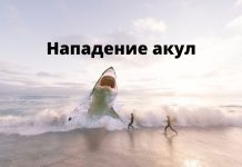 Второе нападения акул на туристов в Хургаде нападение акул