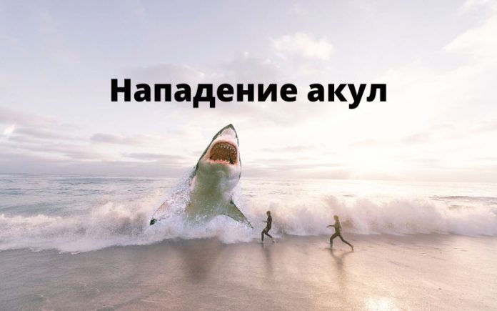 нападение акул