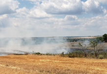 На полях Приднестровья горит стерня полях, пожары, Приднестровье