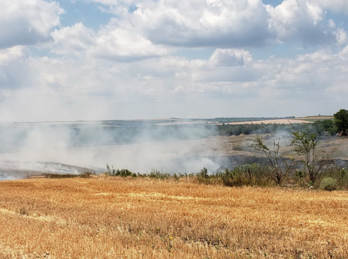 полях, пожары, Приднестровье