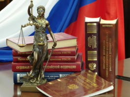 Суд обязал маркетплейс вернуть деньги за случайный заказ ребенка Плахотнюк, Москвы, Тверской суд, денег,