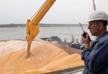 Куда уходит украинское зерно, так нужное голодающим?