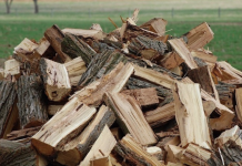 Где древесина, которую Румыния обещала Молдове? Румыния обещала поставить древесину Молдове, но поставок нет