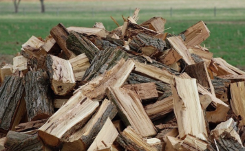 Молдавские власти обещают, что дров хватит всем Румыния обещала поставить древесину Молдове, но поставок нет