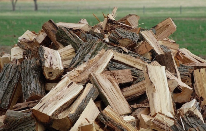 молдавские власти закупят дрова в Румынии